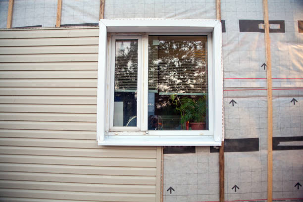 Best Siding Painting and Refinishing  in Nd Lake, WI
