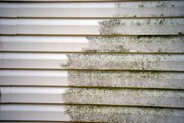 Best Residential Vinyl Siding Installation  in Nd Lake, WI