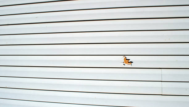 Best Historical Building Siding Restoration  in Nd Lake, WI