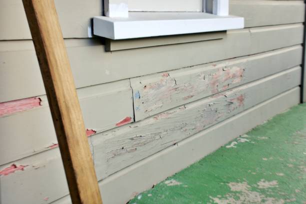 Best Fascia and Soffit Installation  in Nd Lake, WI